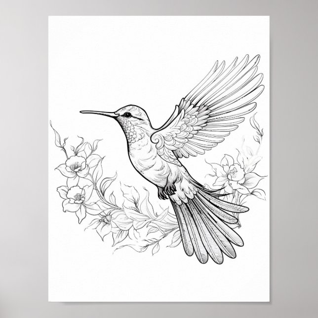Hummingbird Adult Coloring Poster (Front)