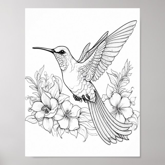 Hummingbird Adult Coloring Poster (Front)