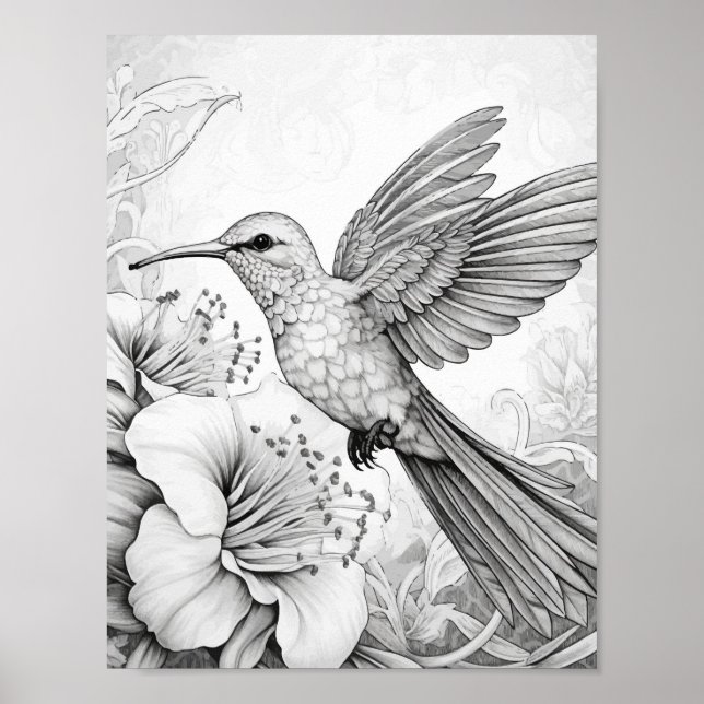 Hummingbird Adult Coloring Poster (Front)