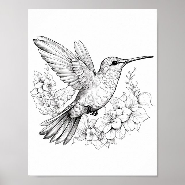 Hummingbird Adult Coloring Poster (Front)