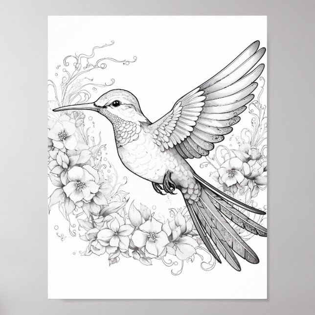 Hummingbird Adult Coloring Poster (Front)