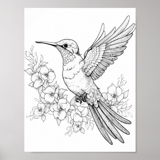 Hummingbird Adult Coloring Poster (Front)