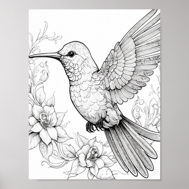 Hummingbird Adult Coloring Poster (Front)