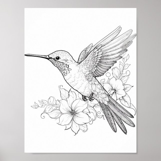 Hummingbird Adult Coloring Poster (Front)