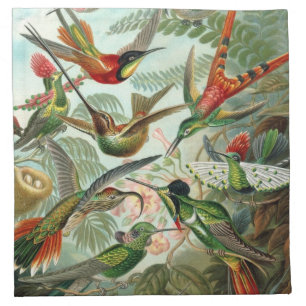 Hummingbird American MoJo Napkin