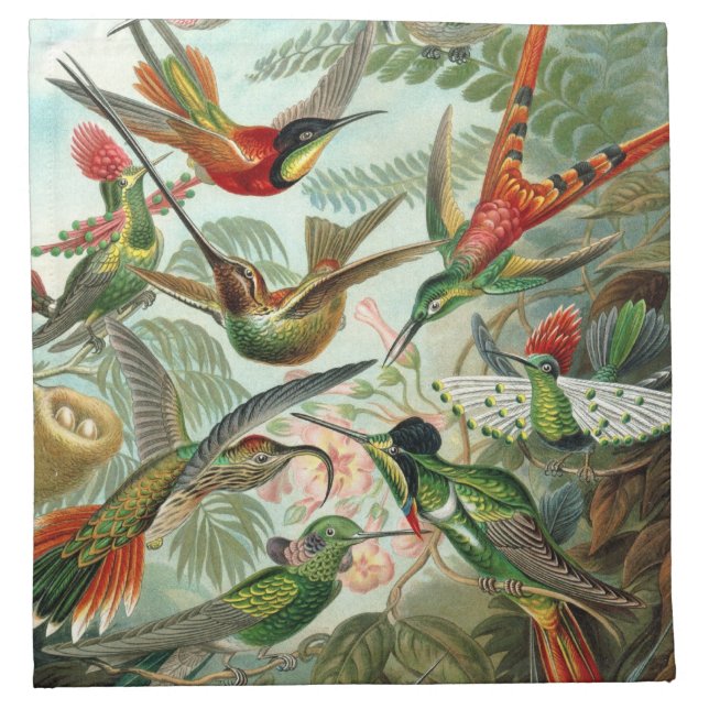 Hummingbird American MoJo Napkin (Front)