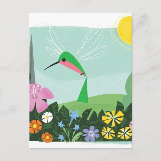 Hummingbird Among Flowers Postcard (Front)