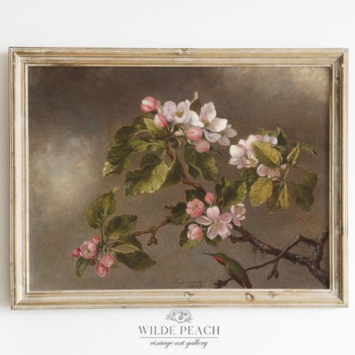 Hummingbird and Apple Blossom Vintage Painting Poster