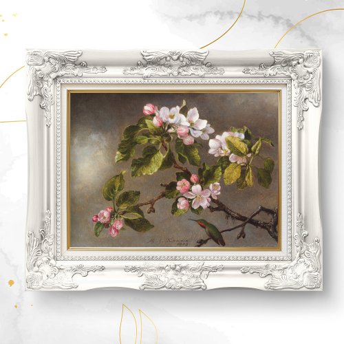 Hummingbird and Apple Blossoms  by MJ Heade Poster