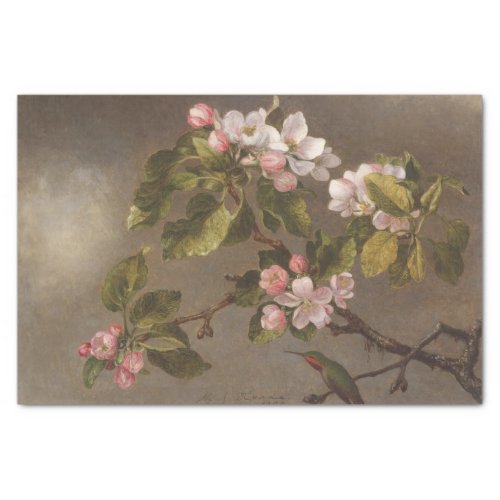 Hummingbird and Apple Blossoms by Martin Heade Tissue Paper