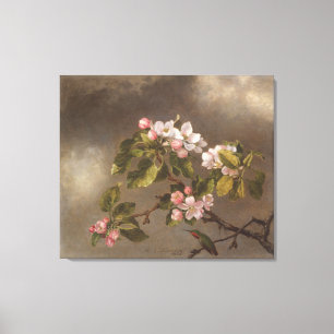 Hummingbird And Apple Blossoms Canvas Print