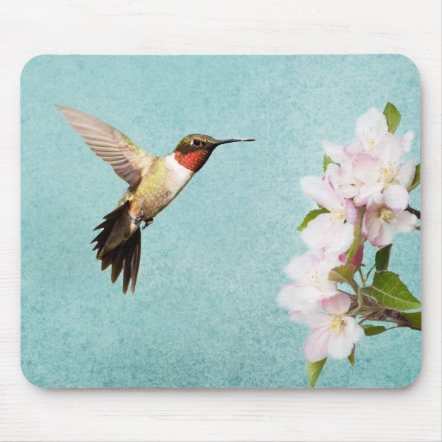 Hummingbird and Apple blossoms Mouse Pad (Front)