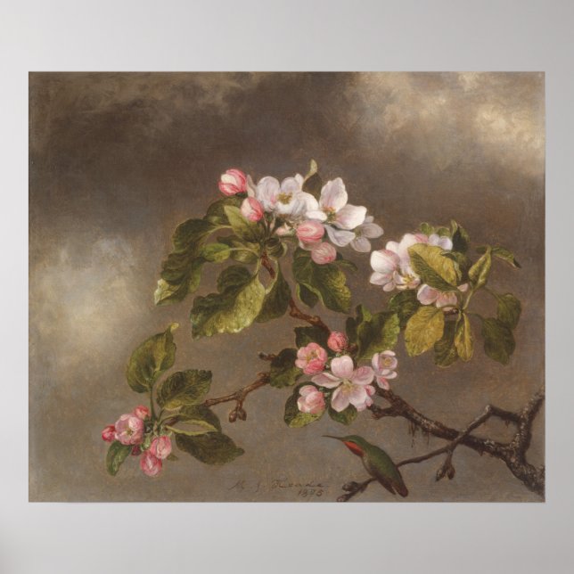 Hummingbird and Apple Blossoms Poster (Front)