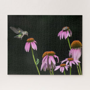 Hummingbird And Bee Share A Coneflower Jigsaw Puzzle