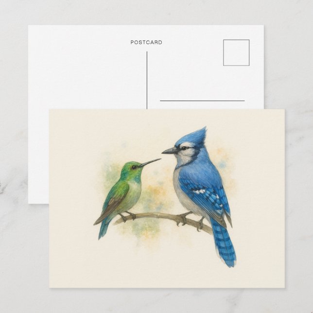 Hummingbird and Blue Jay Nature  Postcard (Front/Back)
