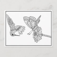 Hummingbird and Butterfly Coloring Postcard