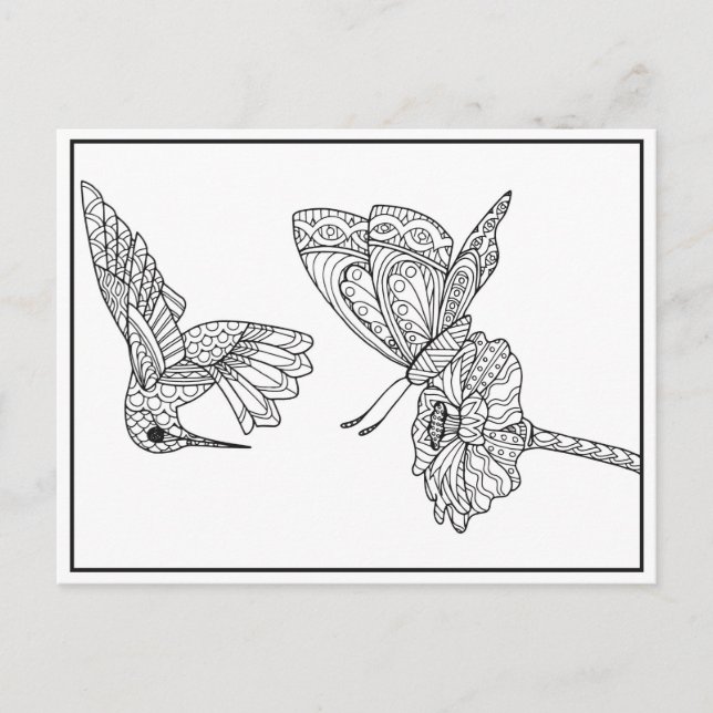 Hummingbird and Butterfly Coloring Postcard (Front)