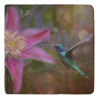 Hummingbird and Clematis Blossom