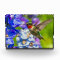 Hummingbird And Delphinium