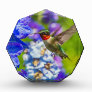 Hummingbird And Delphinium Acrylic Award