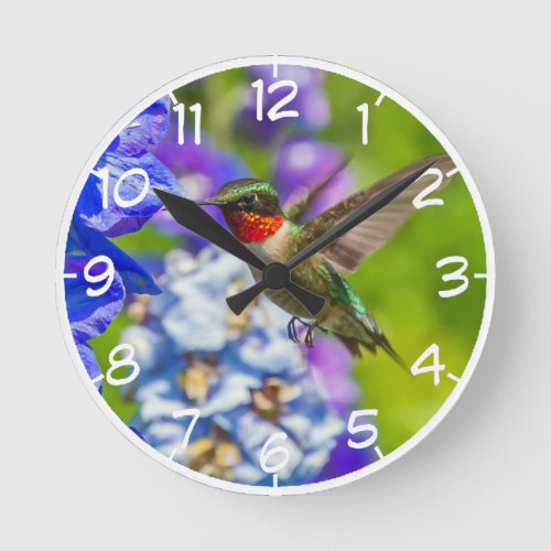 Hummingbird And Delphinium Round Clock