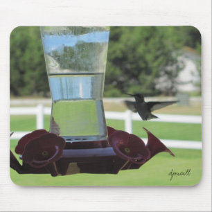 Hummingbird and Feeder Mouse Pad