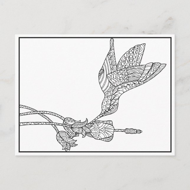 Hummingbird and Flower Design Postcard (Front)