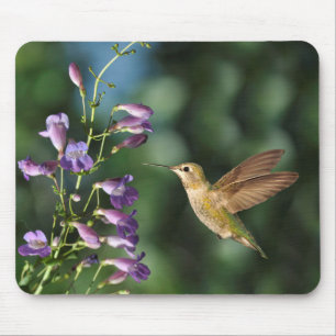 Hummingbird and Flower Mouse Pad