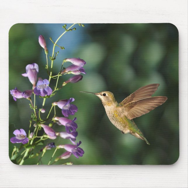 Hummingbird and Flower Mouse Pad (Front)
