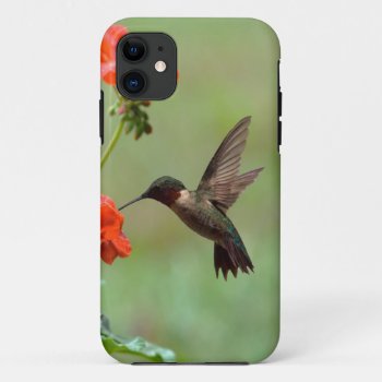 Hummingbird And Flowers Iphone 11 Case by thecoveredbridge at Zazzle