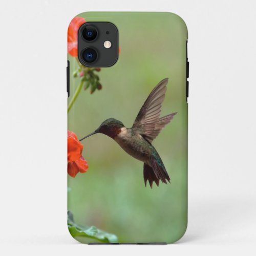 Hummingbird And Flowers iPhone 11 Case