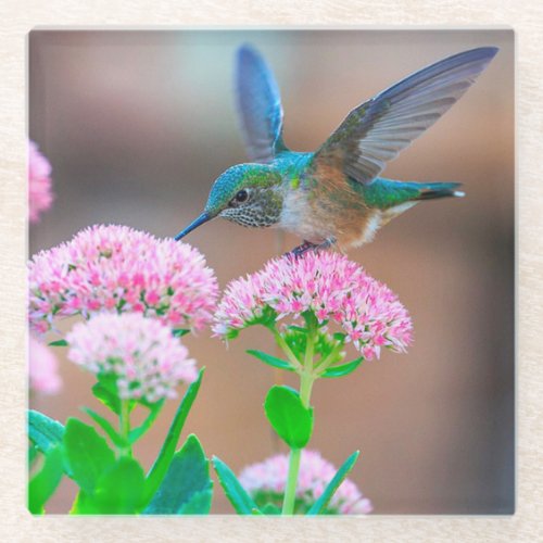 Hummingbird and Flowers Glass Coaster