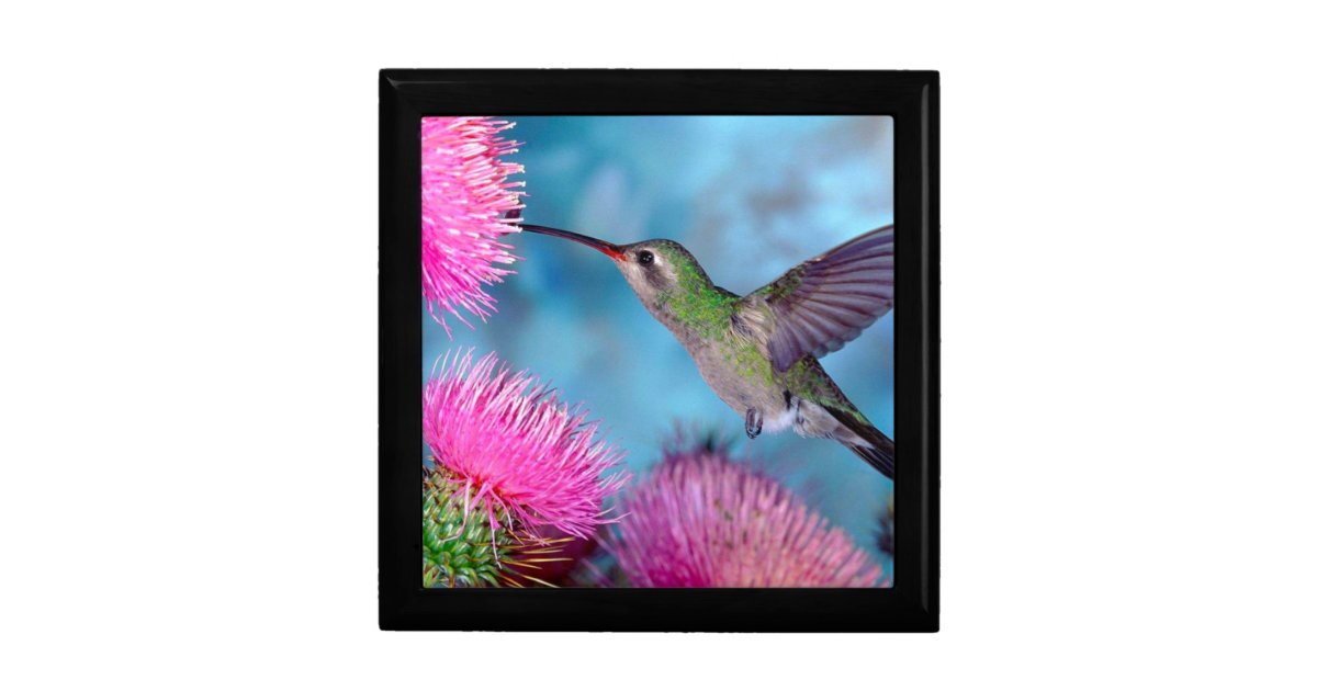 Hummingbird and Flowers/Keep Sake/Gift Box | Zazzle