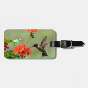 Hummingbird And Flowers Luggage Tag by thecoveredbridge at Zazzle