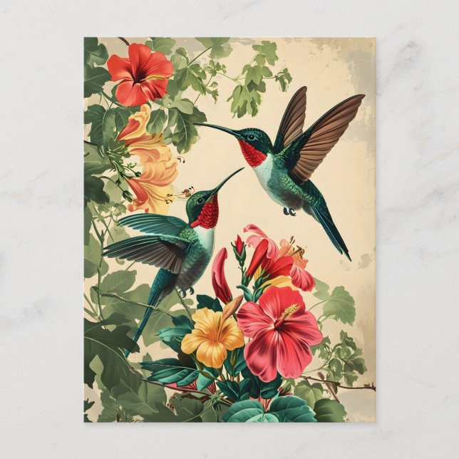 Hummingbird and Flowers: Vintage Postcard (Front)