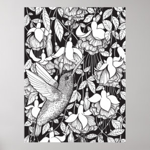 Hummingbird and fuchsia poster