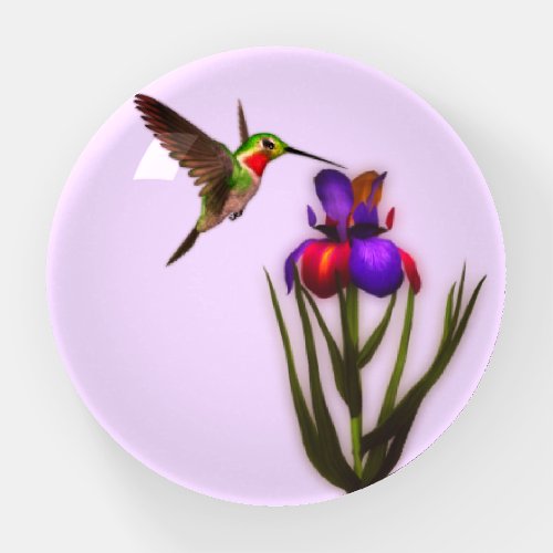 Hummingbird And Iris Flower Art Paperweight