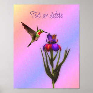 Hummingbird And Iris Flower Personalized  Poster