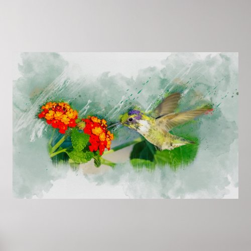 Hummingbird and Lantana Watercolor Piece Canvas Pr Poster