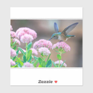 Hummingbird And Nectar Sticker
