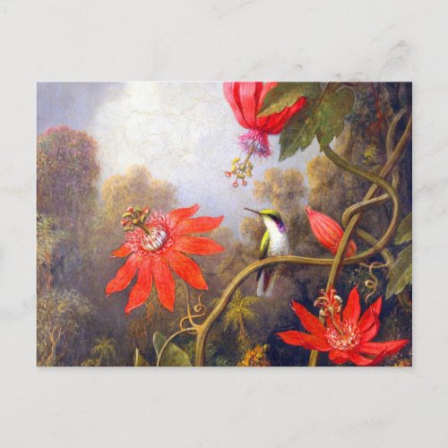 Hummingbird and Passiflora by Martin Johnson Heade Postcard