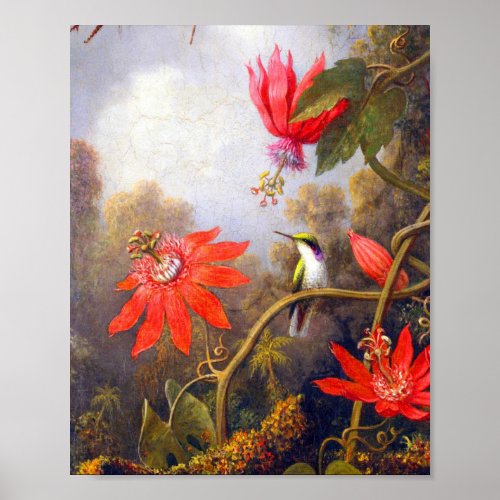 Hummingbird and Passiflora by Martin Johnson Heade Poster