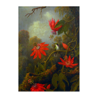 Hummingbird and Passionflowers (1875) Poster Acrylic Print