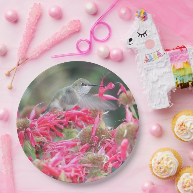 Hummingbird and Pink Flowers Paper Plates (Party)