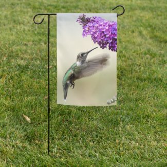 Christmas gift ideas for the hummingbird lover - Hummingbird and purple flowers garden flag