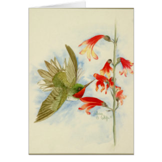 Hummingbird and Red Blossoms Cards