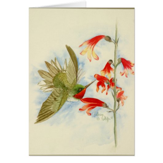 Hummingbird and Red Blossoms Cards (Front)