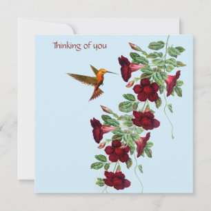 Hummingbird and Red Flowers Note Card