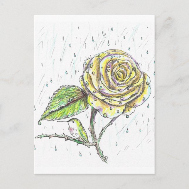 Hummingbird and Rose in the Rain Drawing Postcard (Front)