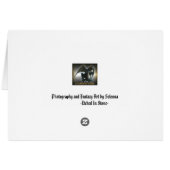 Hummingbird and Roses (Back Horizontal)